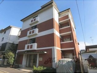 CURIOJITE OKAZAKIの画像
