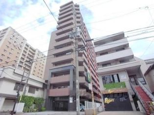 グレーシィ石山の画像