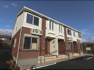 プラシード?の画像