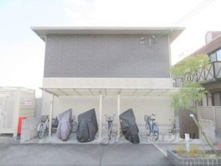 Y´s court横田の画像