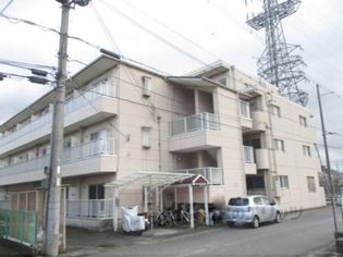 GROOVE米原?の画像