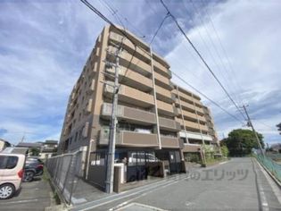 レイセニット奈良グラン・ヴェルジェの画像