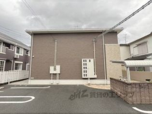 プラシードの画像