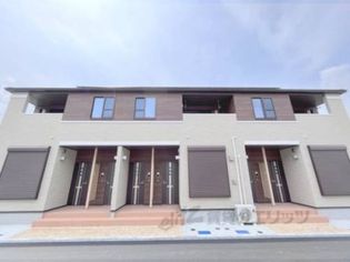 パインオーク?の画像