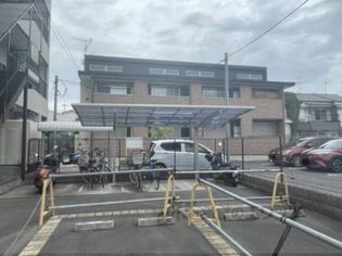 アベリア高倉の画像