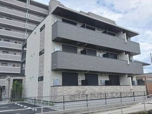 なでしこの画像