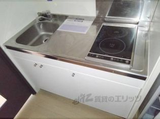 レオネクストますがのキッチン